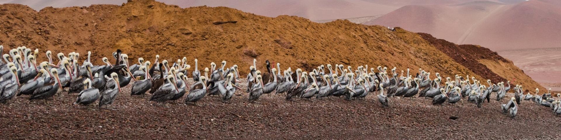 Photo by Adèle Beausoleil on Unsplash